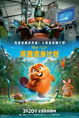 a级毛片黄