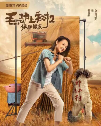 女free性zozo交体内谢o