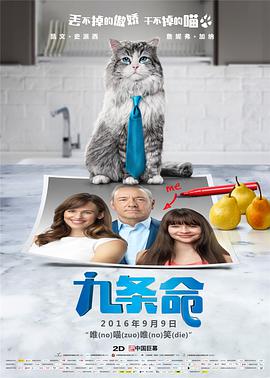 生活片全黄一级