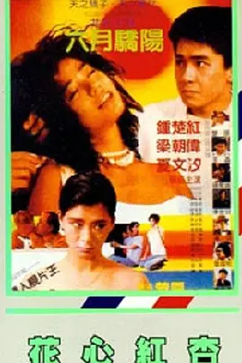 国产福利视频一区二区