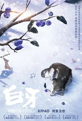 国产精品亚洲一区二区在线观看