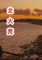 最激情的乱岳小说