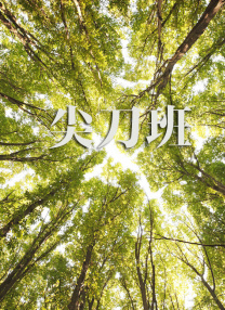 日韩欧美成人精品