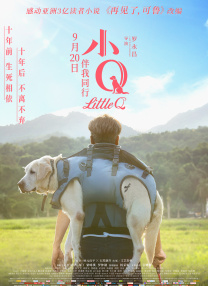 91免费视频版