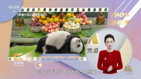 年轻的少妇中文